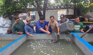 FajarPaper Fasilitasi Ribuan Bibit Lele, Perkuat Pemberdayaan Masyarakat Berkelanjutan melalui Budidaya